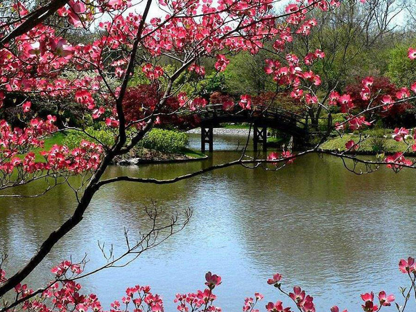 新房開(kāi)荒保潔的驗(yàn)收標(biāo)準(zhǔn)涉及到哪些方面